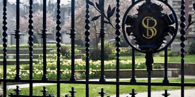 Gartenzäune aus Metall - Typen, Merkmale und Unterschiede